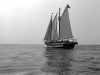 Mystic-Whaler_edited-1