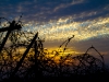 golan-heights-sunset-2