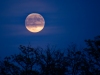 Moon-11-11-2019-4_edited-1