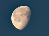 Morning Moon 01-25-2019_edited-1