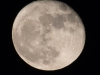 Super Moon 11-15-2016A