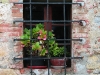 monteriggioni-window-2