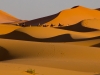 Sahara Dunes