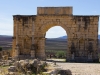 Volubilis #3